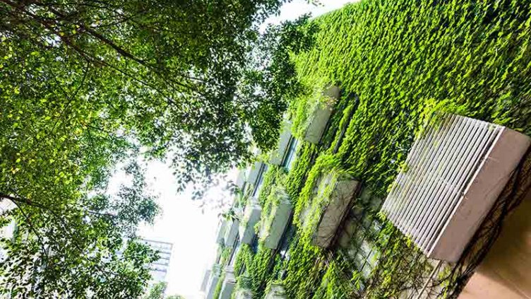 Sustainability building